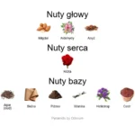 Stercus ekstrakt perfum - piramida zapachów