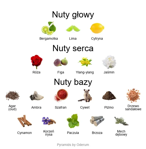 Roja Dove Amber Aoud ekstrakt perfum - piramida zapachów