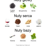 Enigma Pour Homme ekstrakt perfum - piramida zapachów