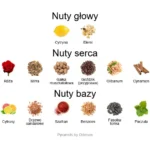 Fenicia EDP - piramida zapachów