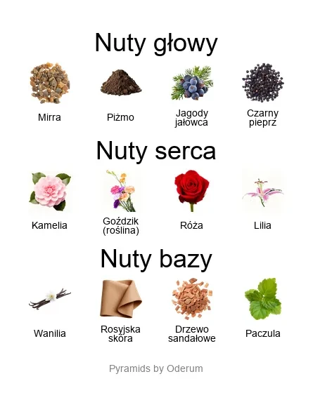 V Canto Cor Gentile ekstrakt perfum - piramida zapachów