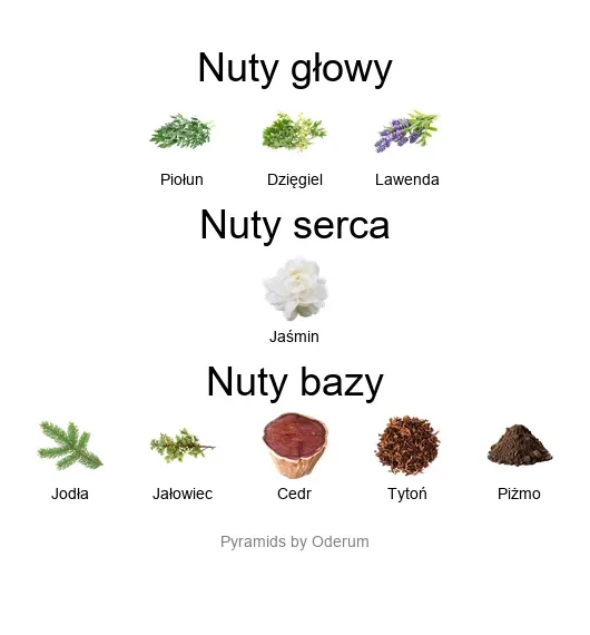 Orto Parisi Viride ekstrakt perfum - piramida zapachów