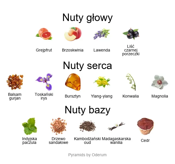 V Canto F. da Montefeltro ekstrakt perfum - piramida zapachów