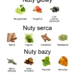 Fili ekstrakt perfum - piramida zapachów