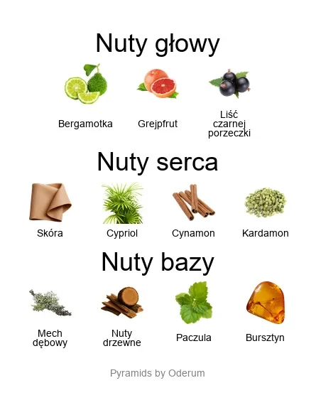 V Canto Fili ekstrakt perfum - piramida zapachów