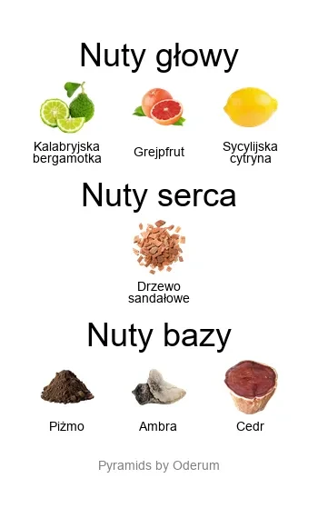 Creed Himalaya EDP - piramida zapachów