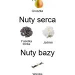 La Belle Le Parfum EDP - piramida zapachów