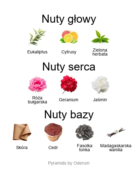V Canto Isotta ekstrakt perfum - piramida zapachów