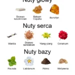 Kashimire ekstrakt perfum - piramida zapachów
