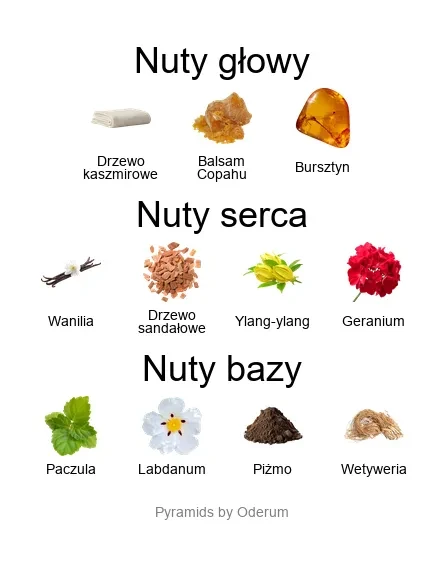 V Canto Kashimire ekstrakt perfum - piramida zapachów