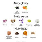 Southern Bloom ekstrakt perfum - piramida zapachów
