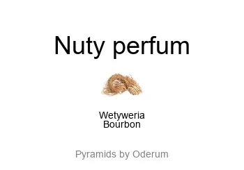 The Merchant of Venice Vetiver Bourbon EDT - piramida zapachów