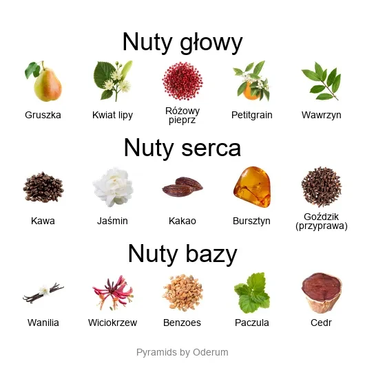 V Canto Lucrethia ekstrakt perfum - piramida zapachów