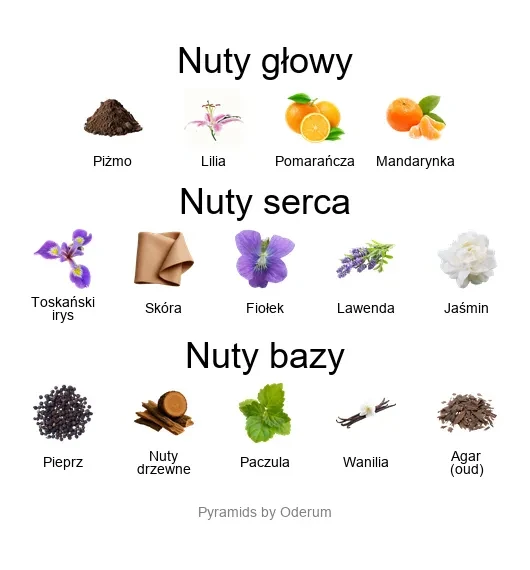 V Canto Malatesta ekstrakt perfum - piramida zapachów