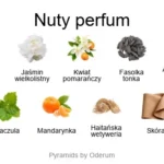 Velvet Splendour ekstrakt perfum - piramida zapachów