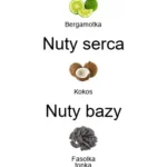 Le Beau EDT - piramida zapachów