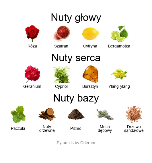 V Canto Posi ekstrakt perfum - piramida zapachów