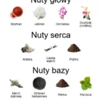 Stramonio ekstrakt perfum - piramida zapachów