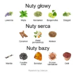 Le Male EDT - piramida zapachów
