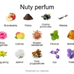 Temptatio ekstrakt perfum - piramida zapachów