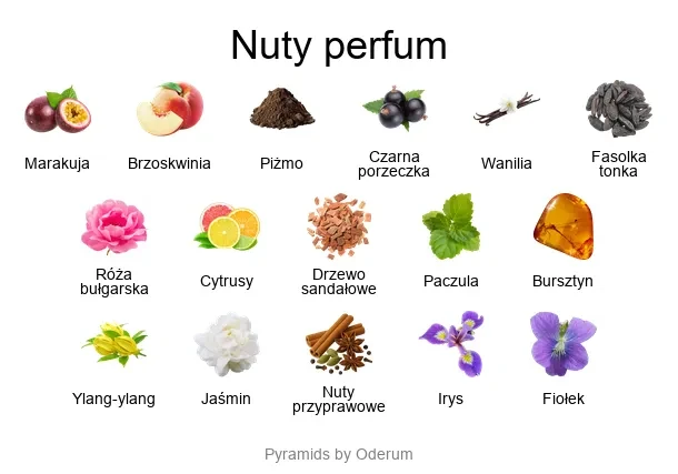 V Canto Temptatio ekstrakt perfum - piramida zapachów
