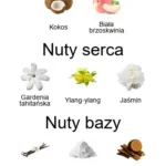 Coco Vanille EDP - piramida zapachów