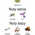 Le Male Le Parfum EDP - piramida zapachów