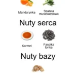 Scandal Pour Homme - piramida zapachów