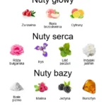 Musky Garden EDP - piramida zapachów