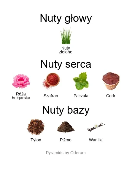 Xerjoff Wardasina EDP - piramida zapachów