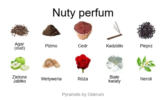 Xerjoff Zafar EDP - piramida zapachów