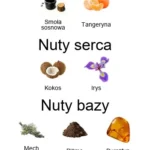 La Voglia d'aMare EDP - piramida zapachów