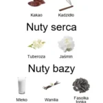 Taskeen Lactea Divina EDP - piramida zapachów