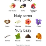 Reb'l Fleur EDP (UNIKAT) - piramida zapachów