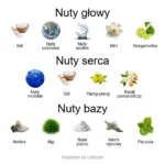 Black Sea ekstrakt perfum - piramida zapachów