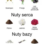 Khair Felicity EDP - odlewka - piramida zapachów