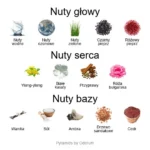 Dream Sea ekstrakt perfum - piramida zapachów