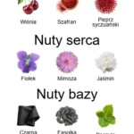 Cherry Punk Extrait de Parfum ekstrakt perfum - piramida zapachów