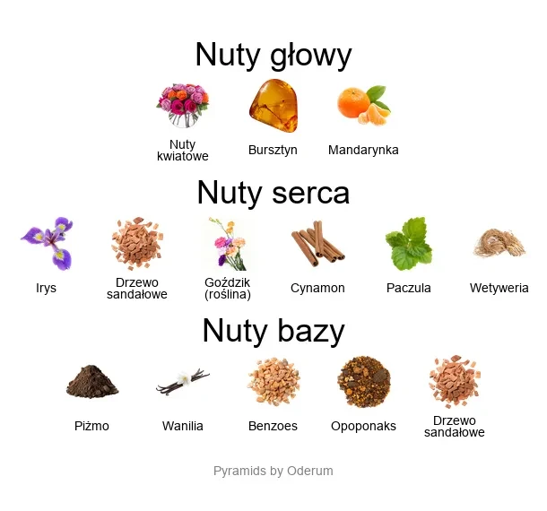 Xerjoff Star Musk ekstrakt perfum - piramida zapachów
