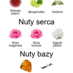 Infini Rose EDP - piramida zapachów