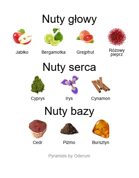 Xerjoff P.33 ekstrakt perfum - piramida zapachów