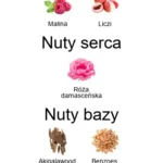 Angel Nova EDP - piramida zapachów