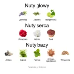 Fars ekstrakt perfum - piramida zapachów