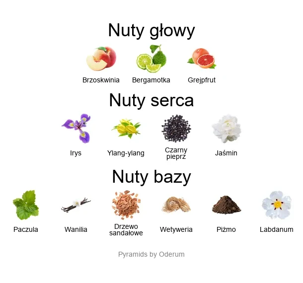 Xerjoff XXY ekstrakt perfum - piramida zapachów