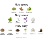 Red Hoba ekstrakt perfum - piramida zapachów