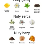 Fiore d'Ulivo EDP - piramida zapachów