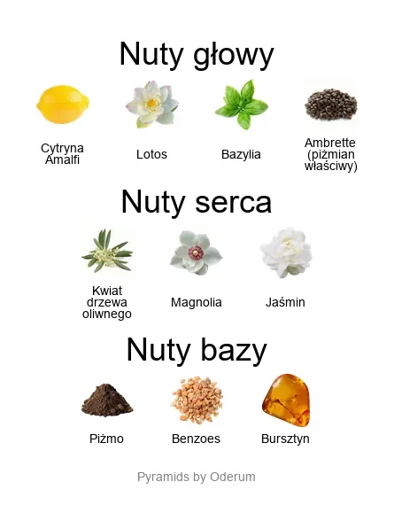 Xerjoff Fiore d'Ulivo EDP - piramida zapachów