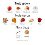 La Capitale ekstrakt perfum - piramida zapachów