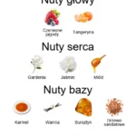 Gran Ballo EDP - piramida zapachów