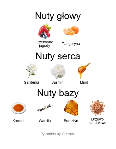 Xerjoff Gran Ballo EDP - piramida zapachów